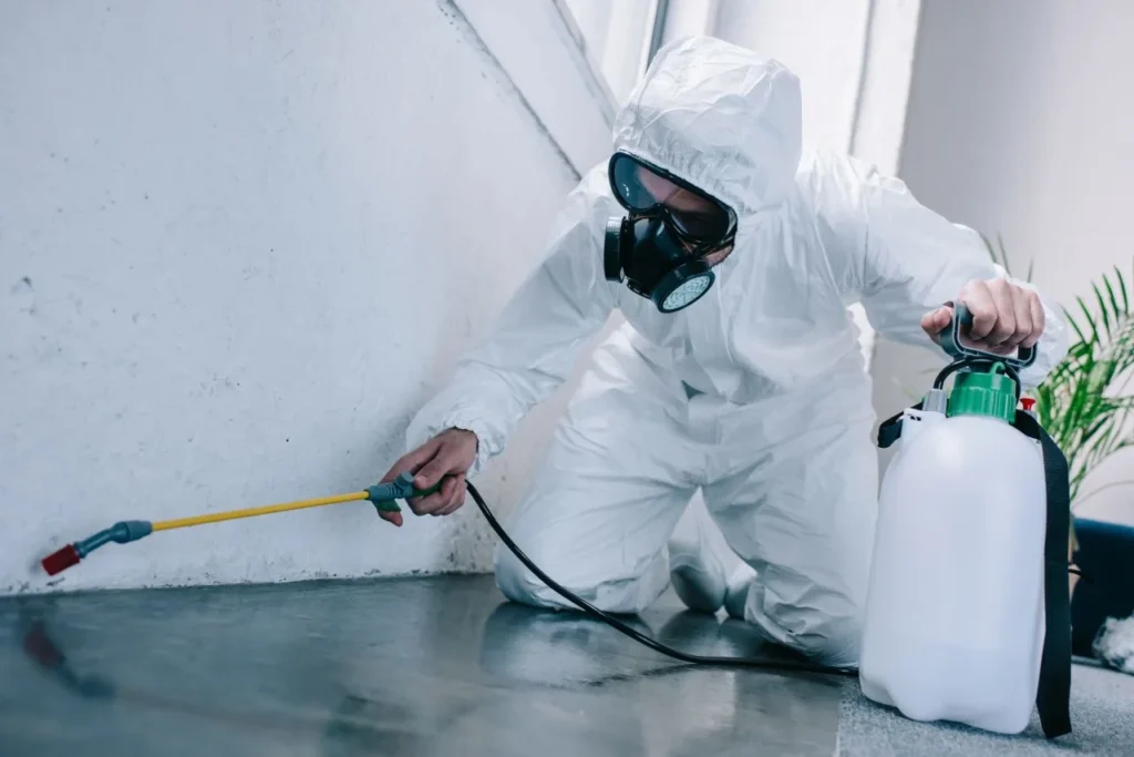 Professional pest control expert performing cockroach extermination using safe and effective indoor treatment methods.
