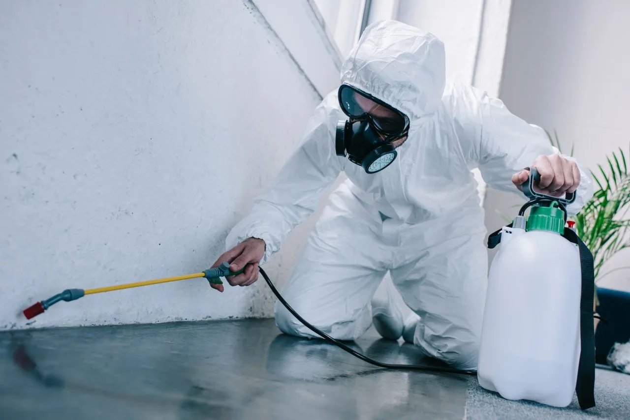 Professional pest control expert performing cockroach extermination using safe and effective indoor treatment methods.