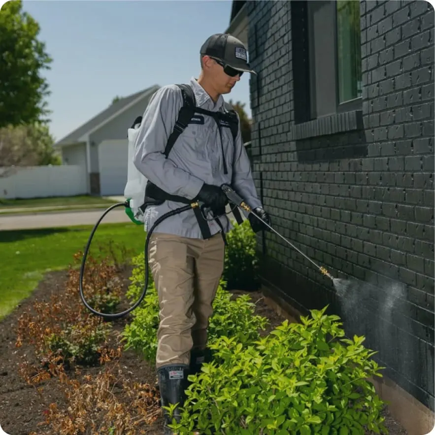 Eco-friendly pest control technician using child-safe and pet-friendly treatments to protect homes without harmful chemicals.